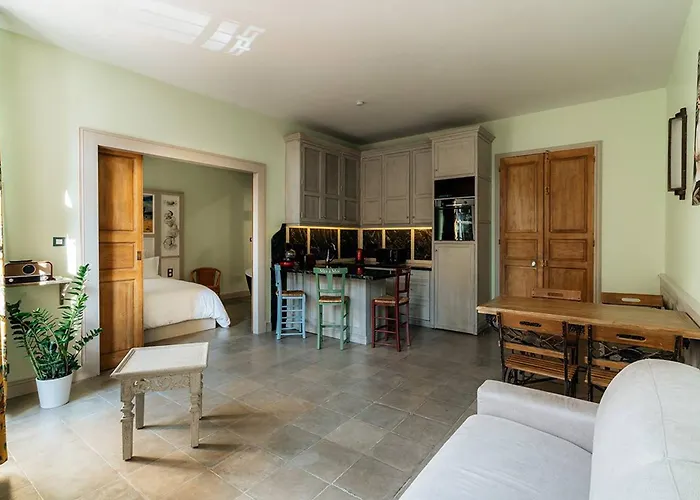 Apartment De Charme Climatise, Centre Pezenas, Animaux Bienvenus - Fr-1-607-215 Pézenas